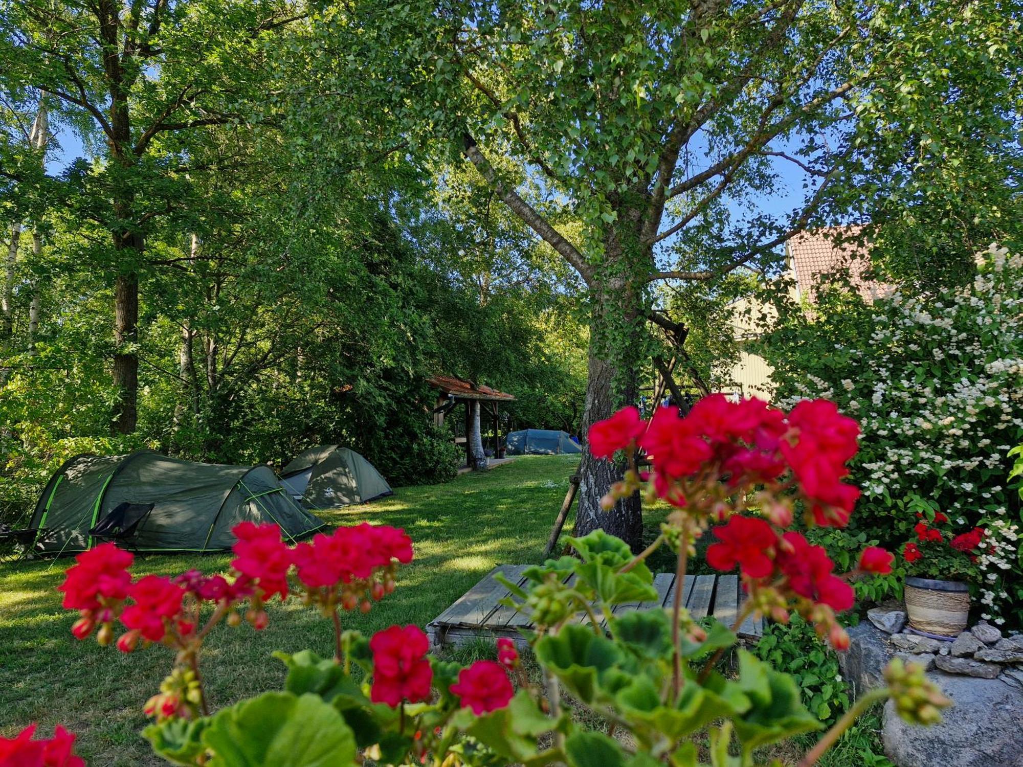 Piibelehe Guest Accommodation Kuressaare Eksteriør billede